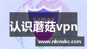 认识蘑菇vpn